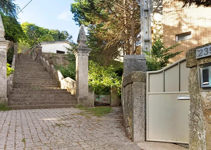 Luzya * Viana do Castelo